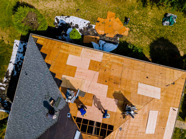 Best Metal Roofing Contractor  in Olathe, KS