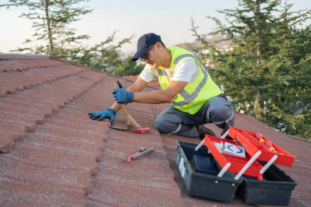 Best Metal Roofing Contractor  in Olathe, KS